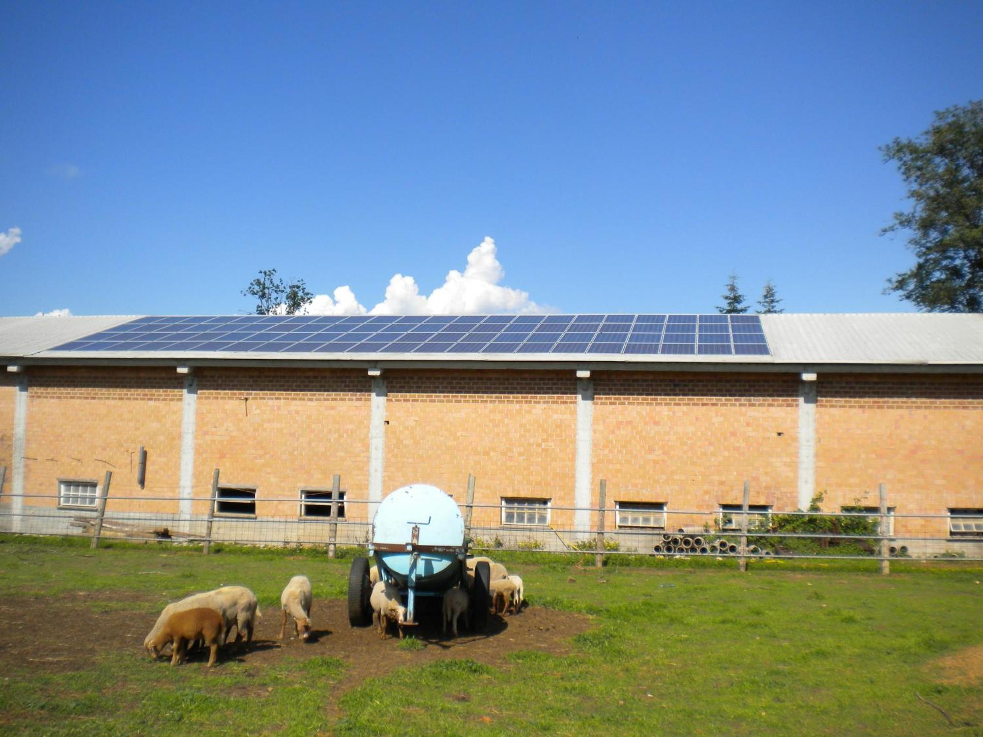 Agriturismo La Dimora Del Contadino มอนโดวี ภายนอก รูปภาพ